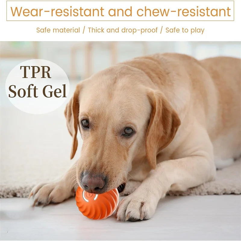 Smart  Electronic  Pet Toy