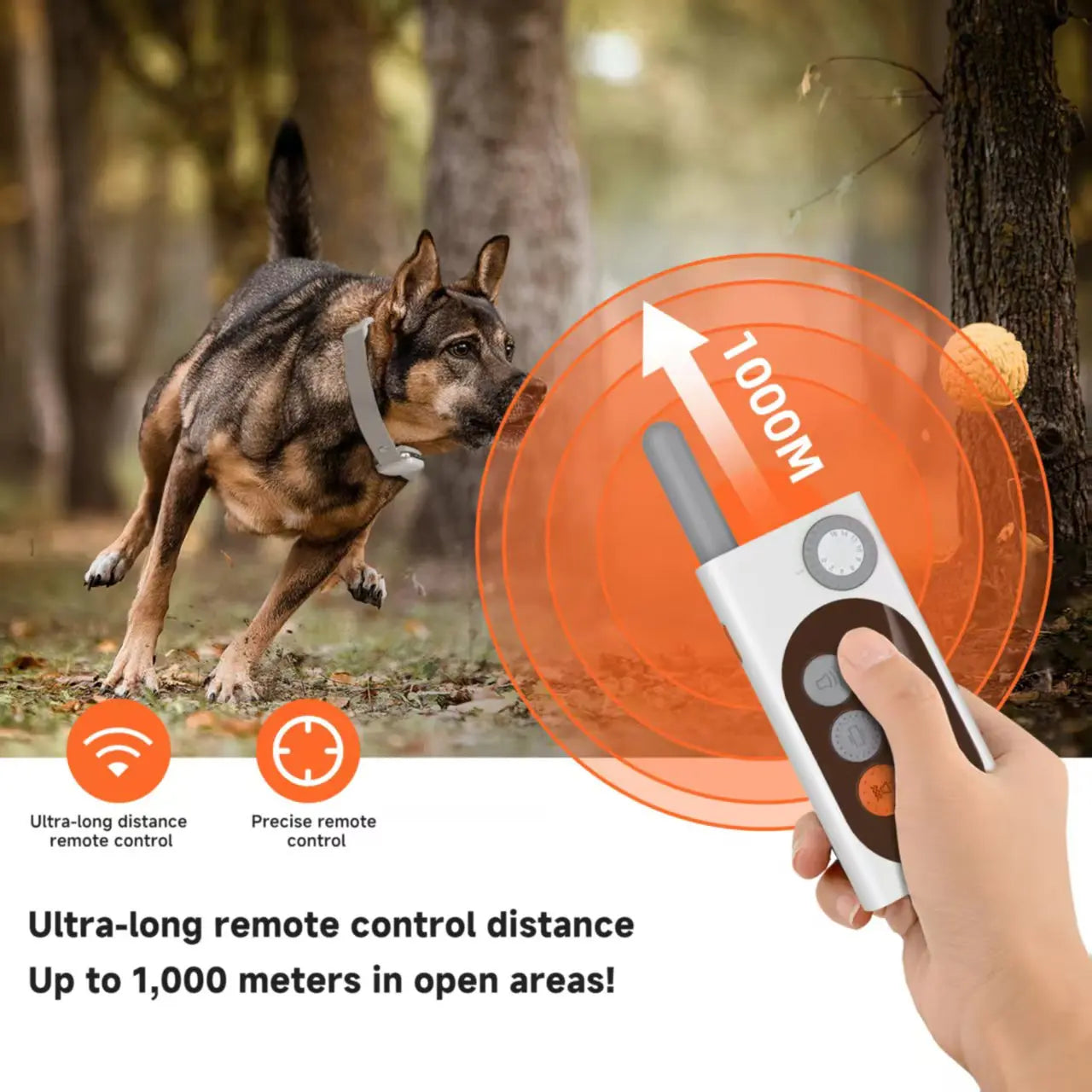 Smart Dog Trainer