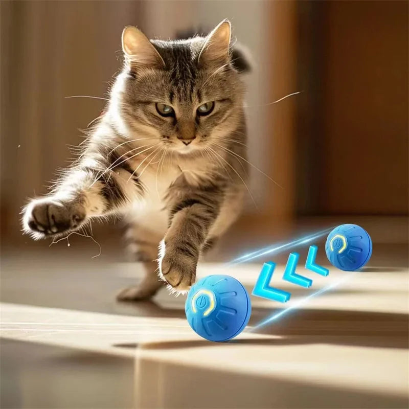 Smart  Electronic  Pet Toy