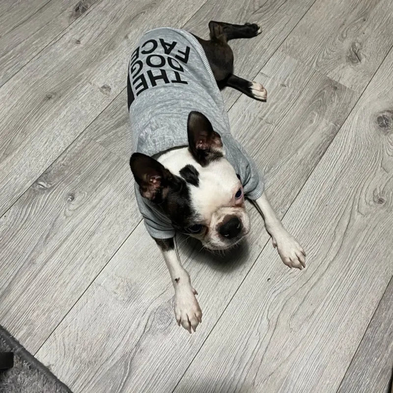 Dog's  Warm Jacket
