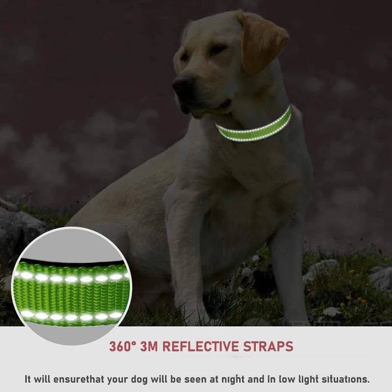Puppy Neck Collar