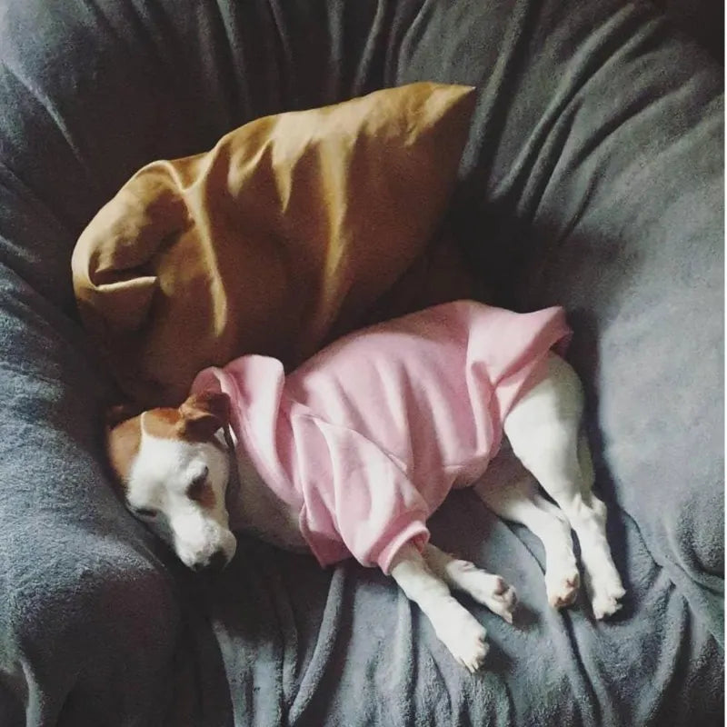 Dog's  Warm Jacket