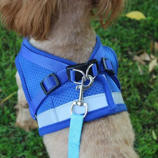 Adjustable Mesh Vest   Harness