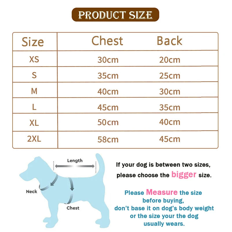 Puppy Cat Jacket