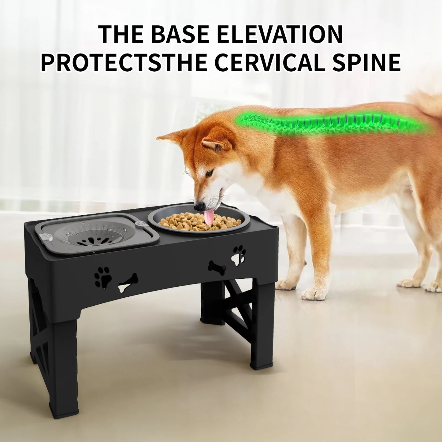 Pet  Slow Feed Bowls