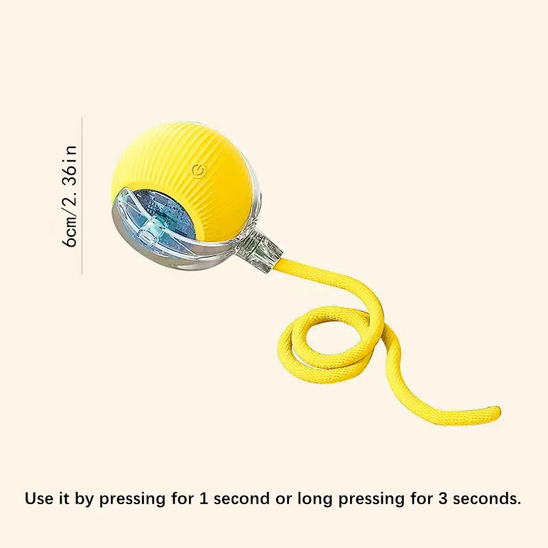 Smart  Electronic  Pet Toy