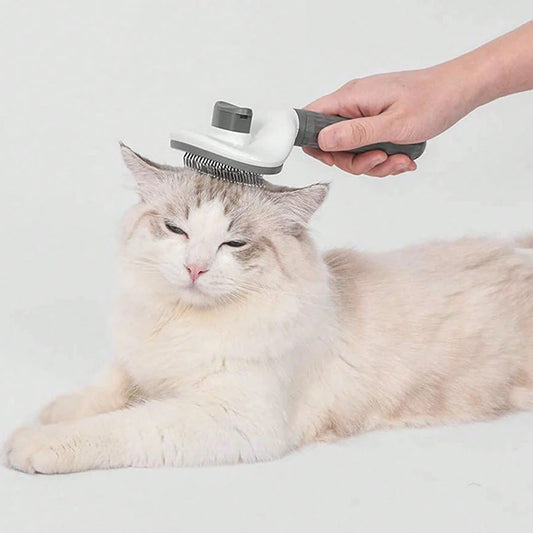 Pet   dog  special comb