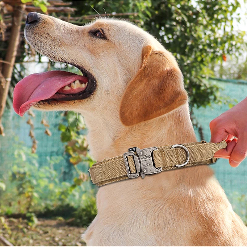 Pet Dog Collar Leash Set