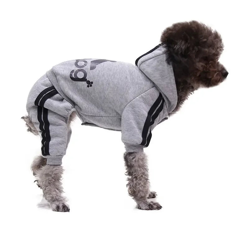 Winter Pet Clothes