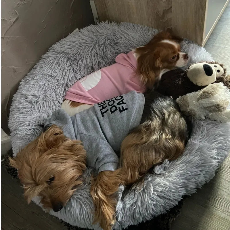 Dog's  Warm Jacket