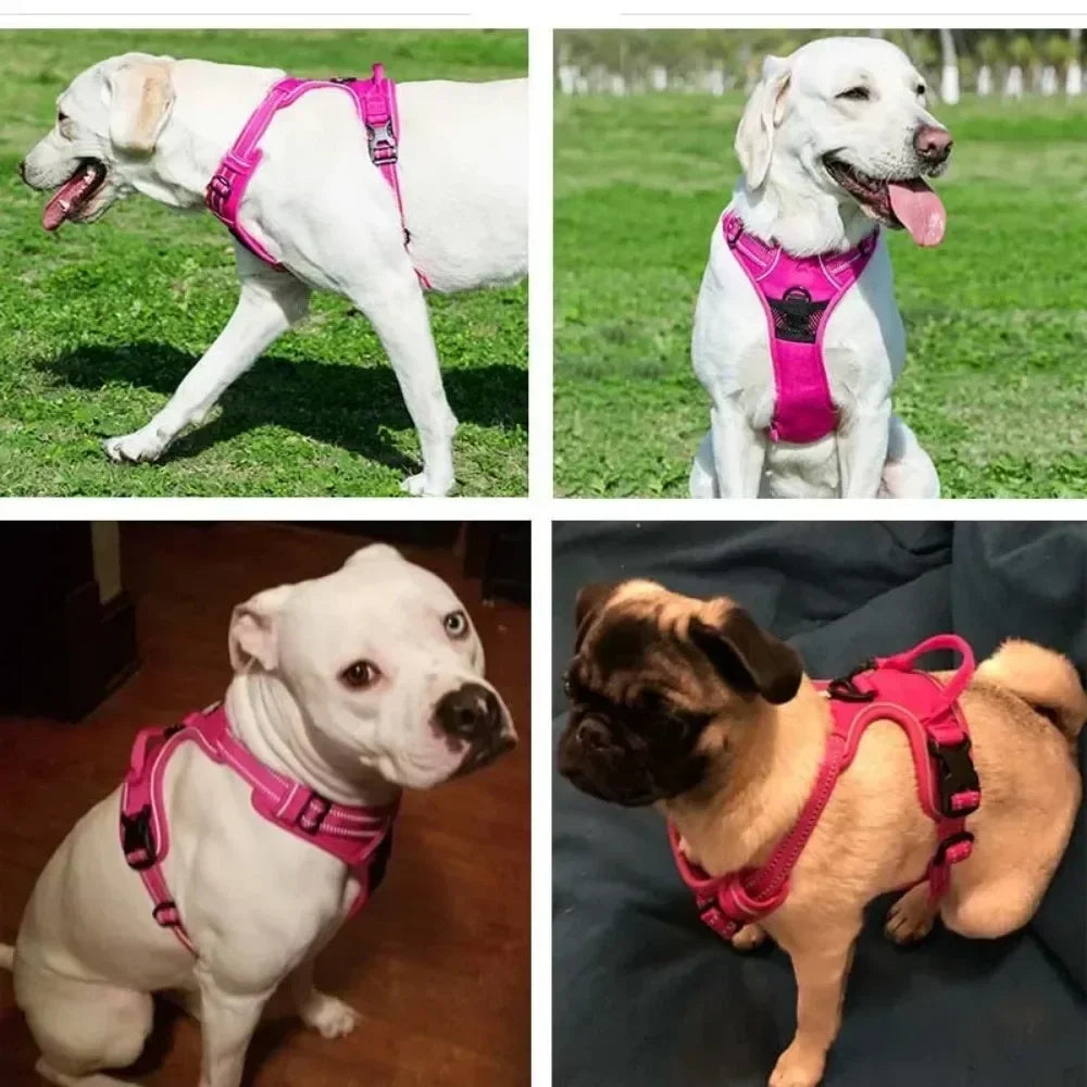 Reflective   Pet Dog Harness