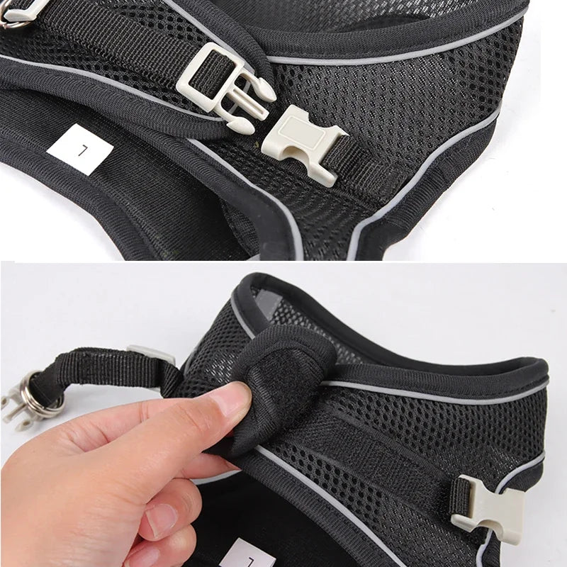 Puppy Harness Set