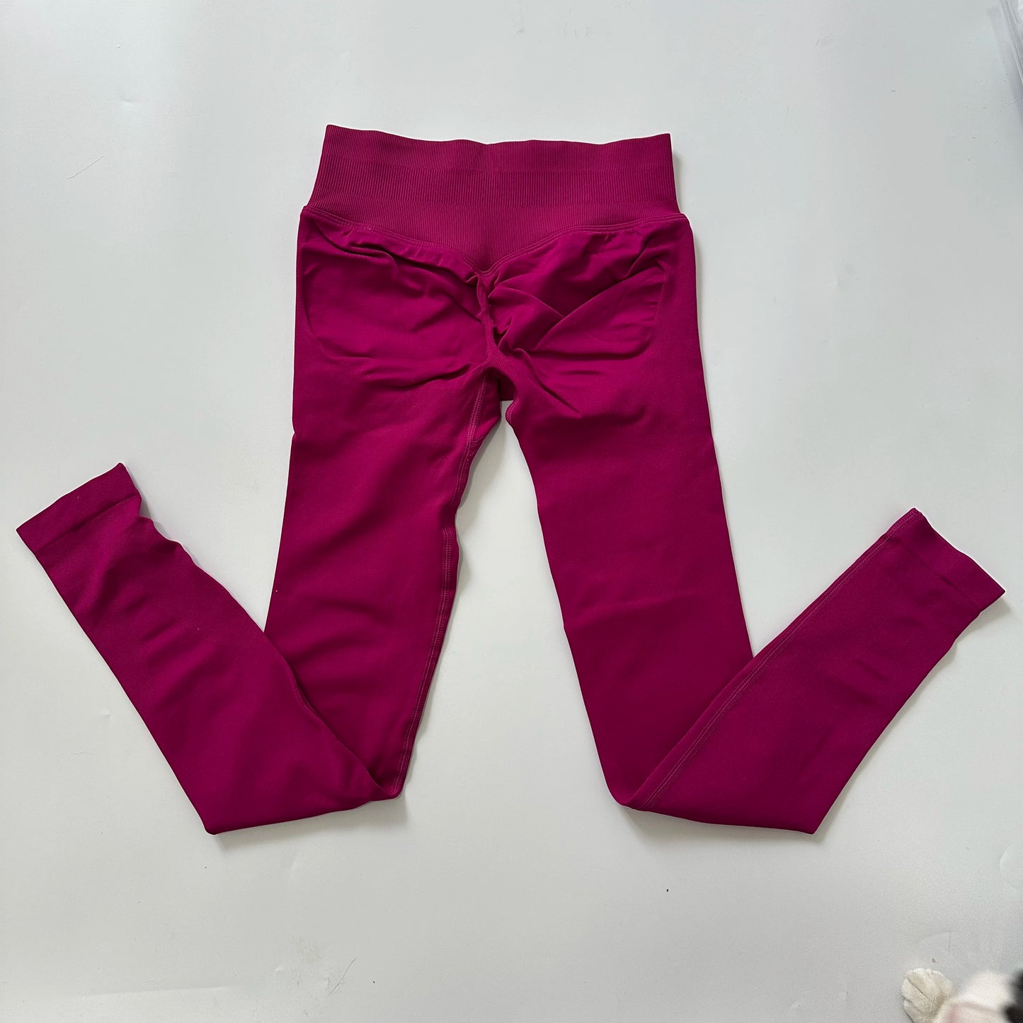 Seamless Workout Tights Leggings