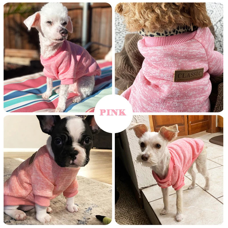 Puppy Cat Jacket
