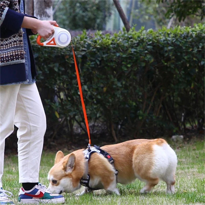 5M   Retractable Dog Leash