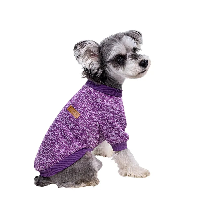 Puppy Cat Jacket