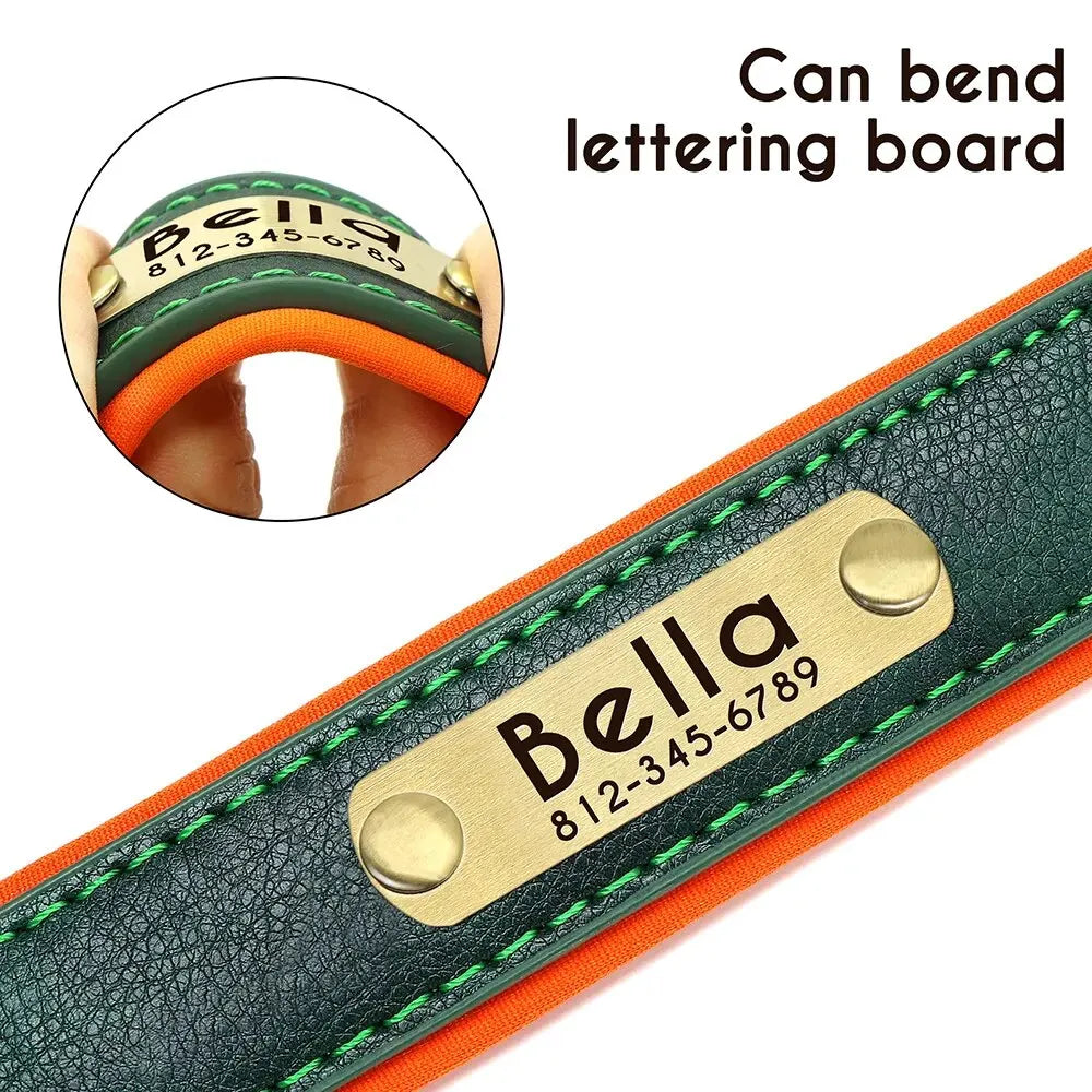 Leather ID  Dog Collar