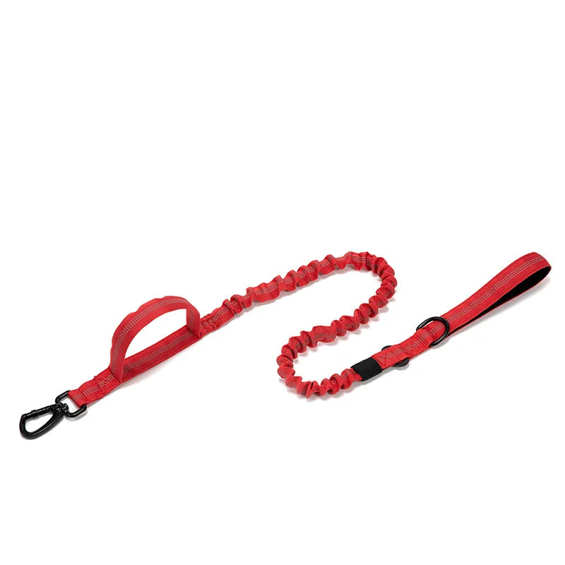 Pet Dog Collar Leash Set