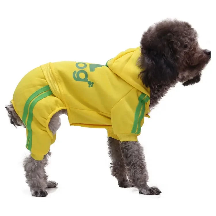 Winter Pet Clothes