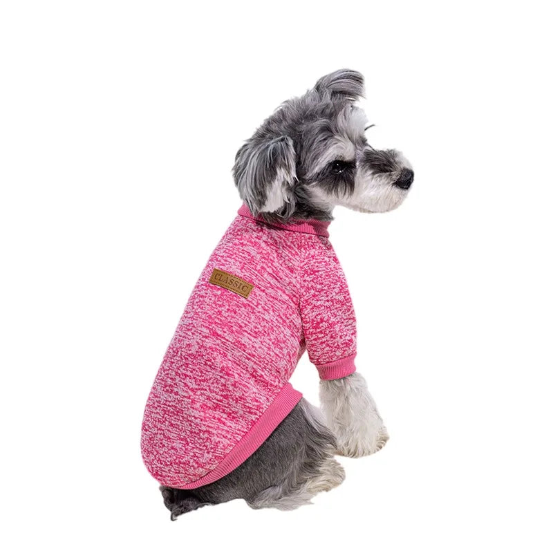 Puppy Cat Jacket