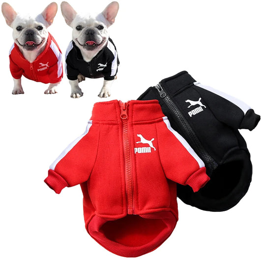 Dog  Winter Clothes
