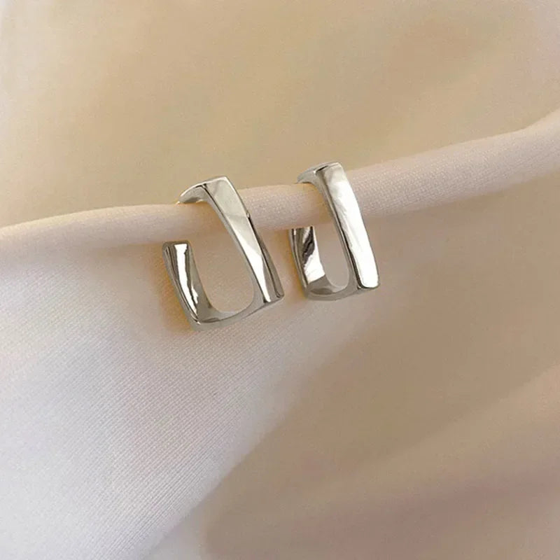Metal Dangle Earrings
