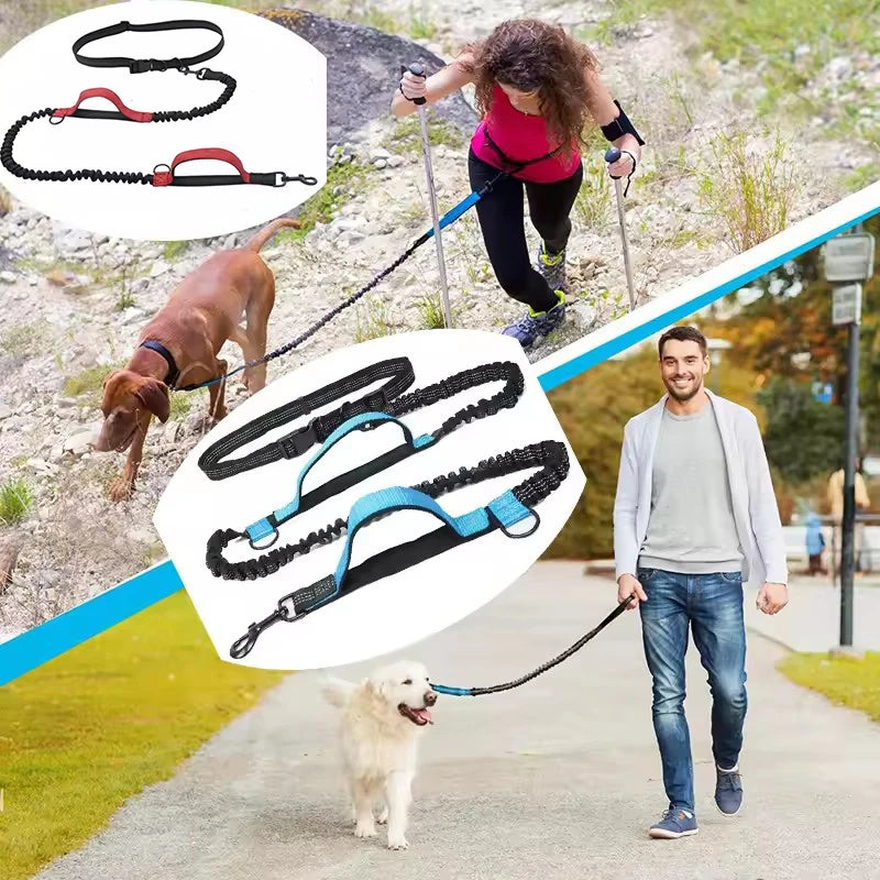 Pet Dual Elastic  Leash