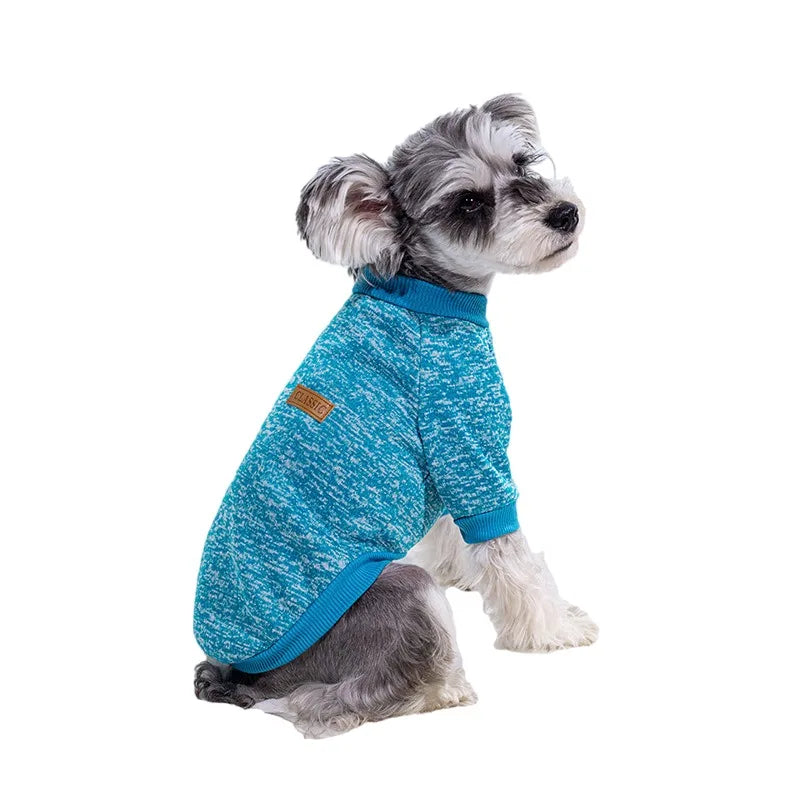 Puppy Cat Jacket