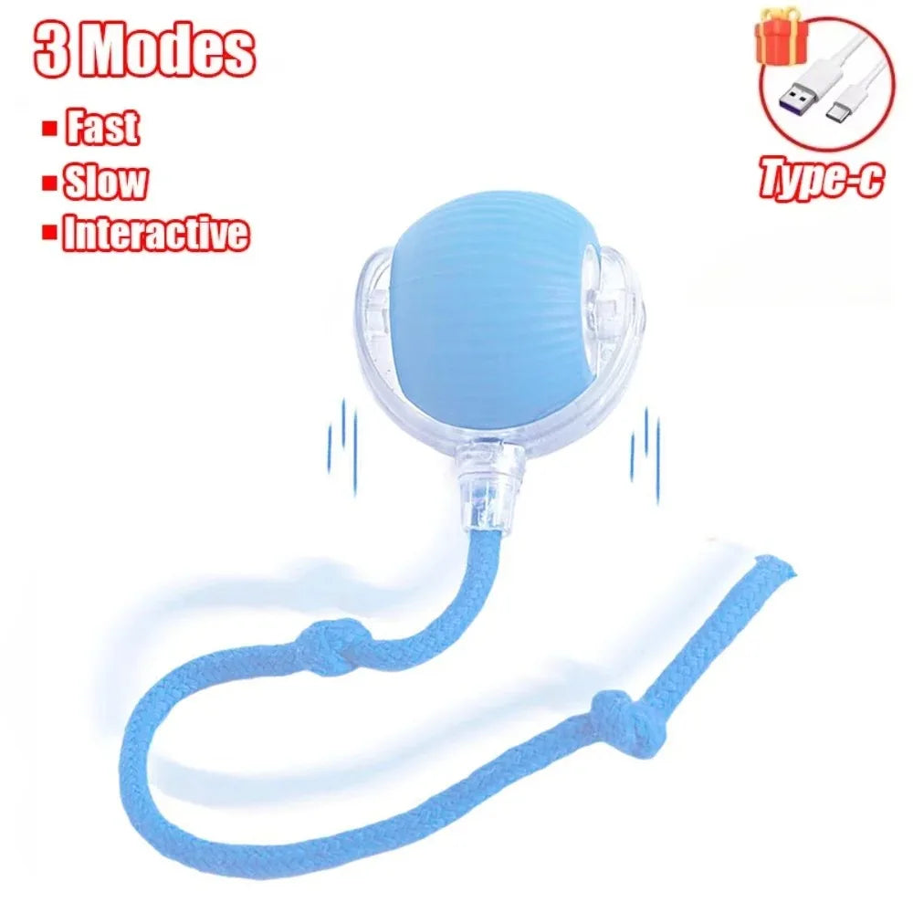 Cat Interactive Ball Toy