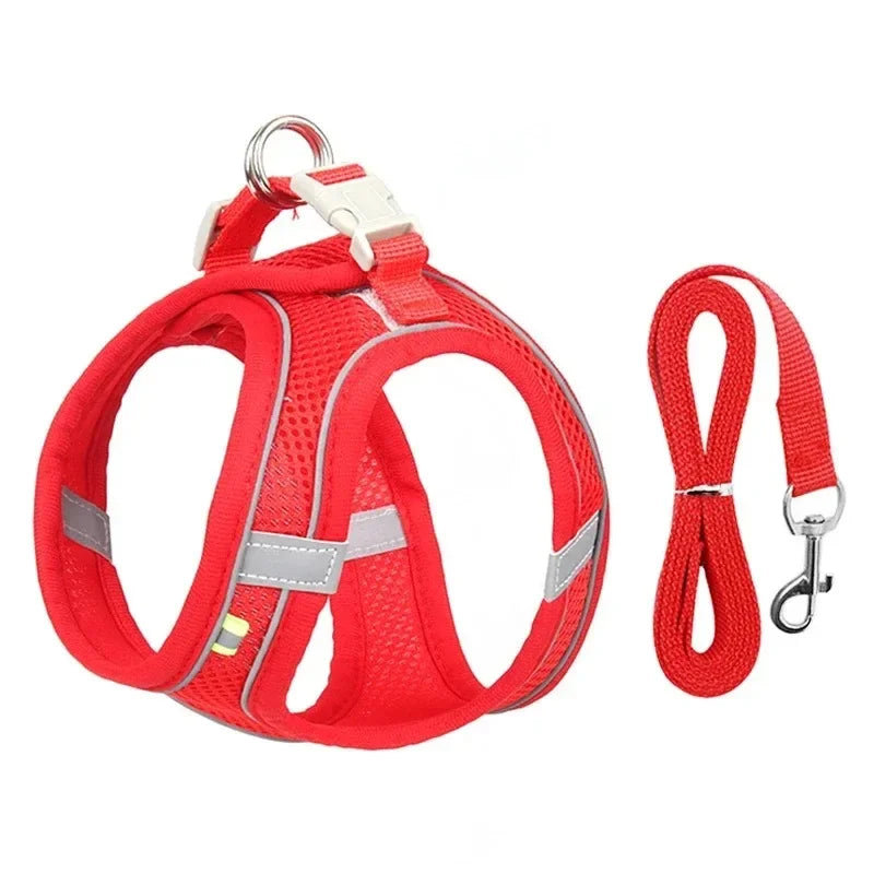 Breathable Adjustable Harnesses