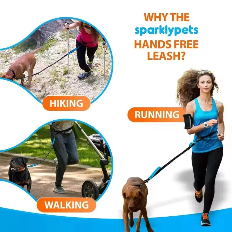 Pet Dual Elastic  Leash