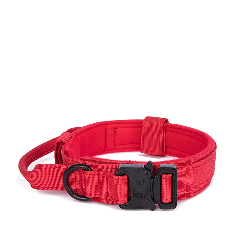 Pet Dog Collar Leash Set