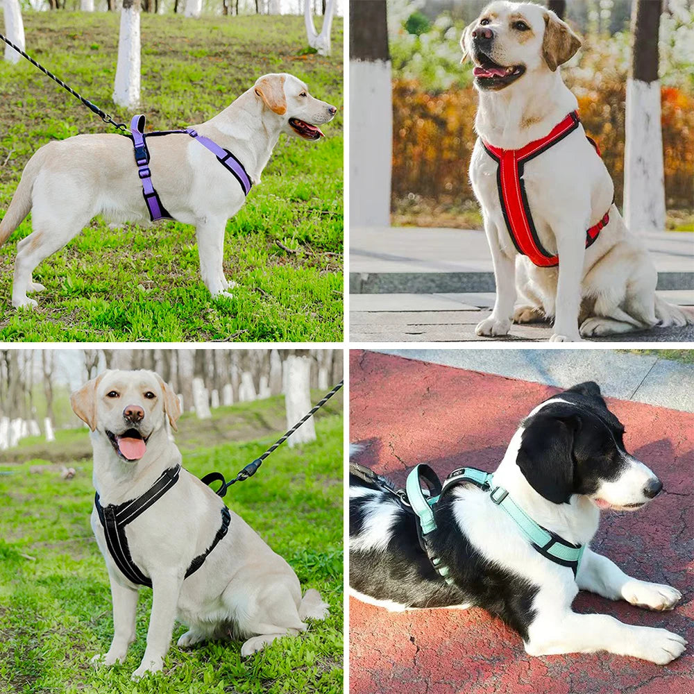 Pet Dog Harness