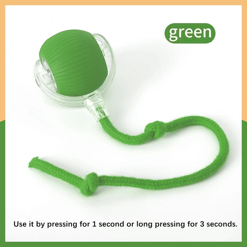 Smart  Electronic  Pet Toy