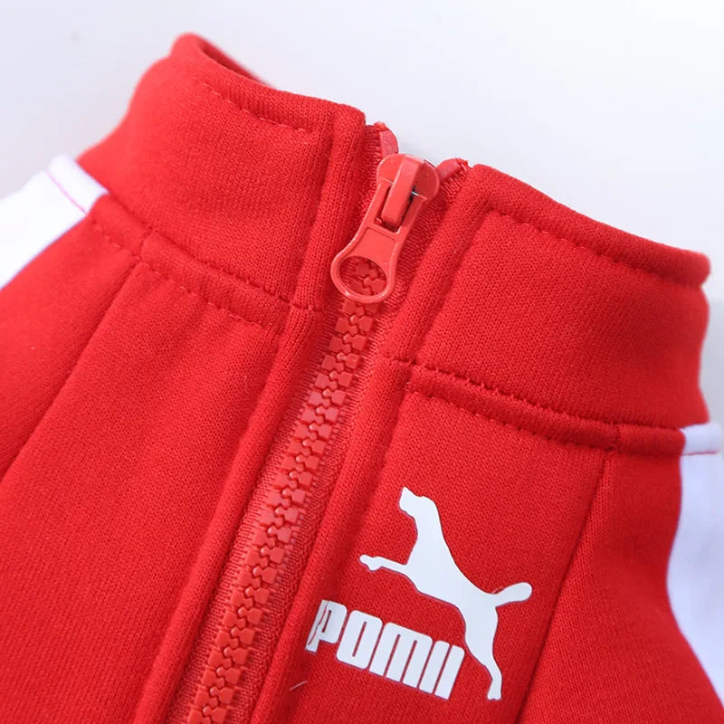 Dog  Winter Clothes