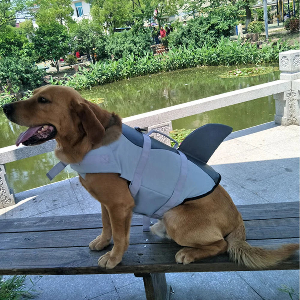 Dog Shark  Swimsuit