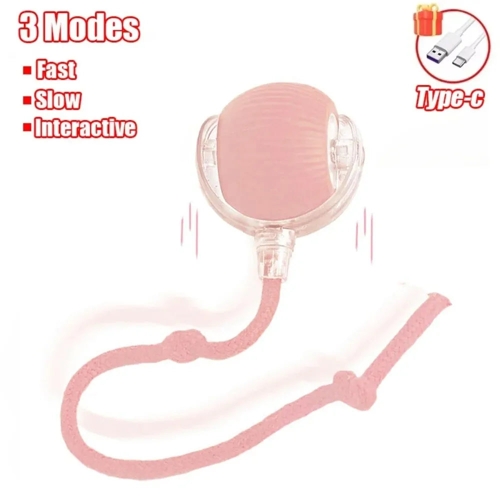 Cat Interactive Ball Toy