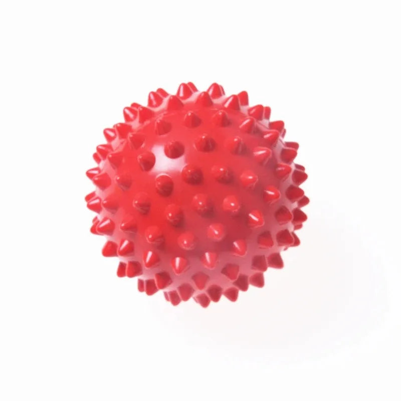 Physiotherapy PVC Ball