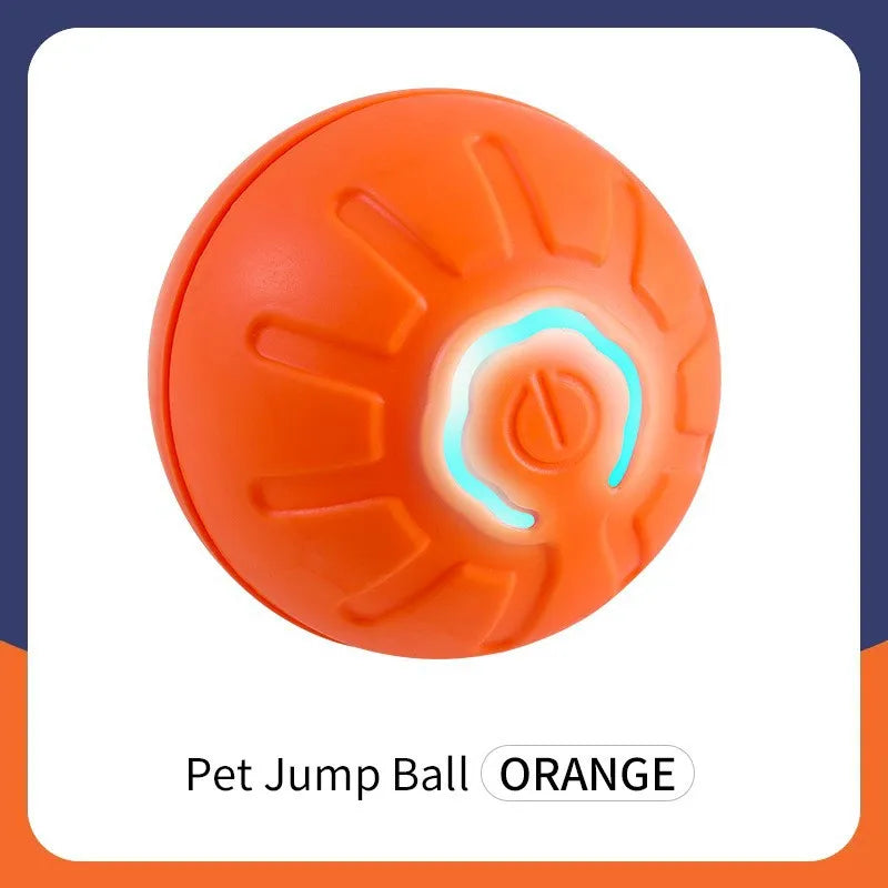 Smart  Electronic  Pet Toy
