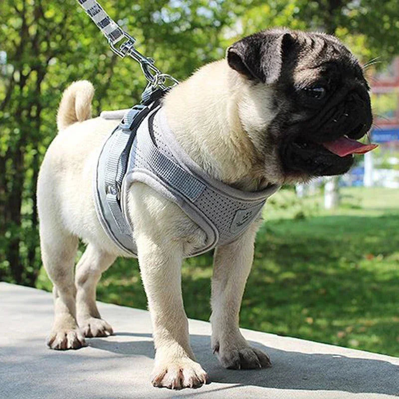 Adjustable Mesh Vest   Harness