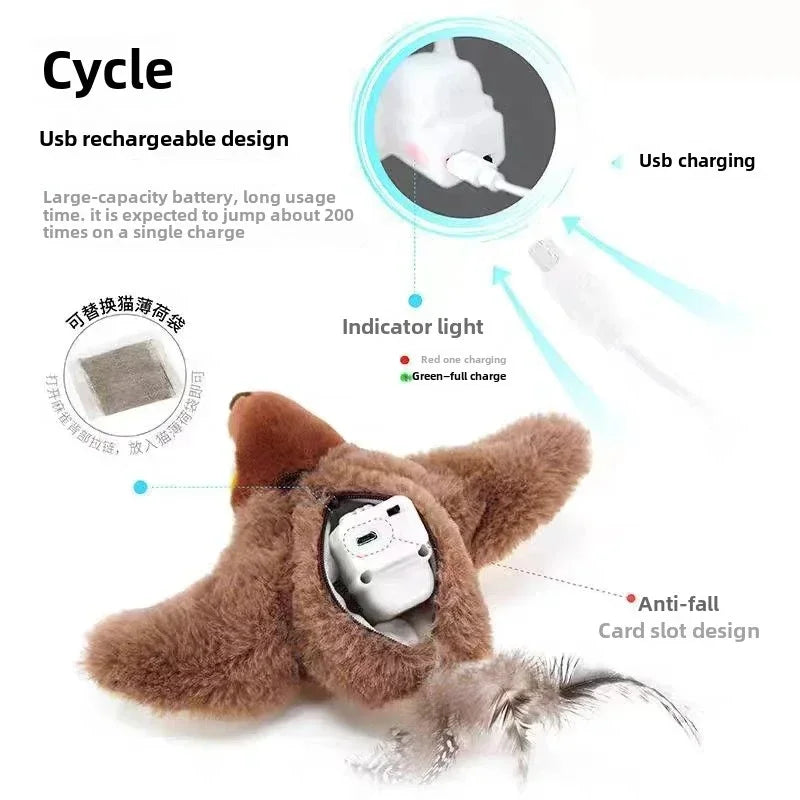 Hot Cat Interactive Toys