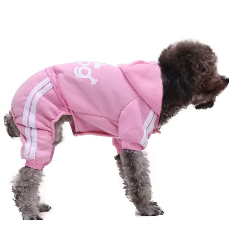 Winter Pet Clothes