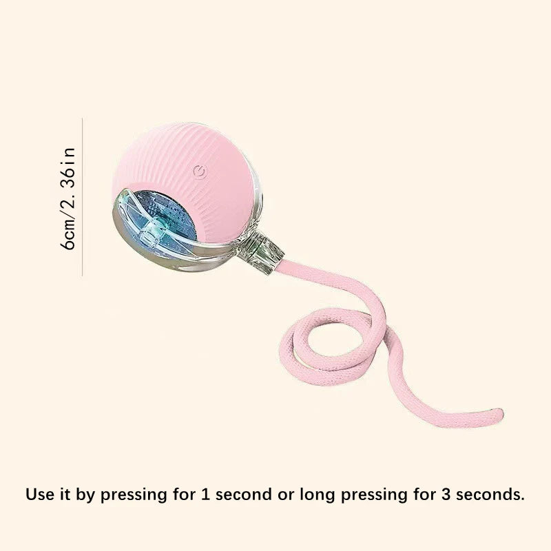 Smart  Electronic  Pet Toy