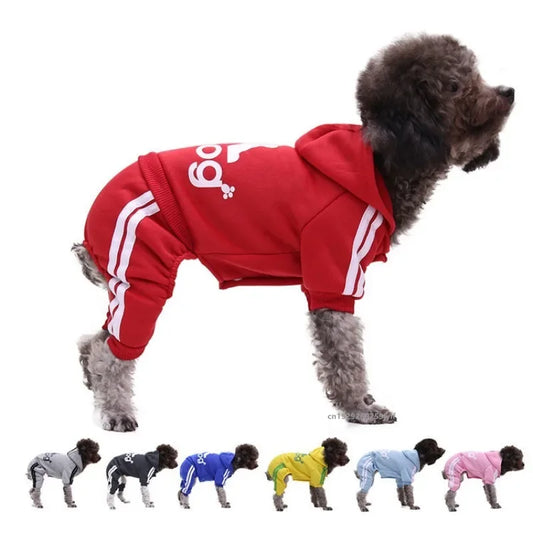 Winter Pet Clothes