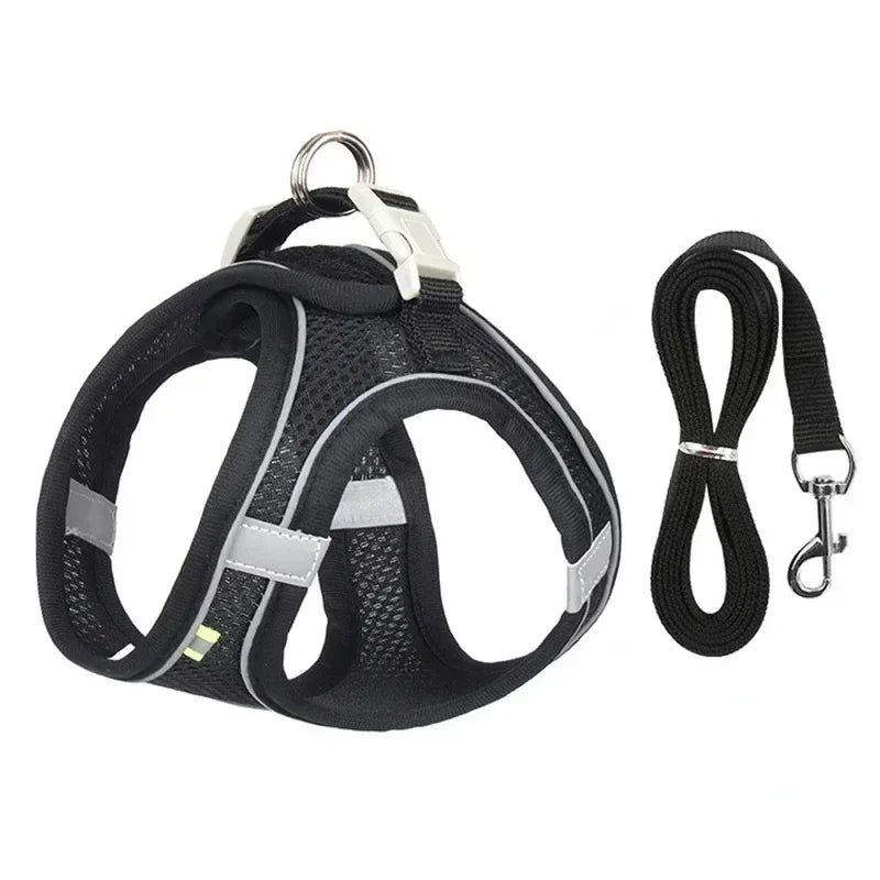 Breathable Adjustable Harnesses
