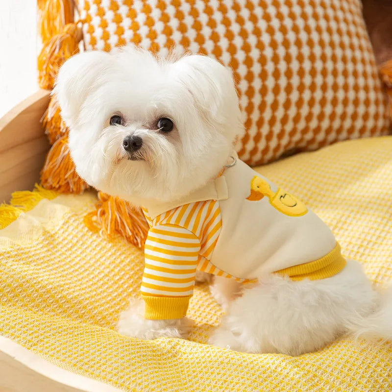 Dog  Winter Hoodies