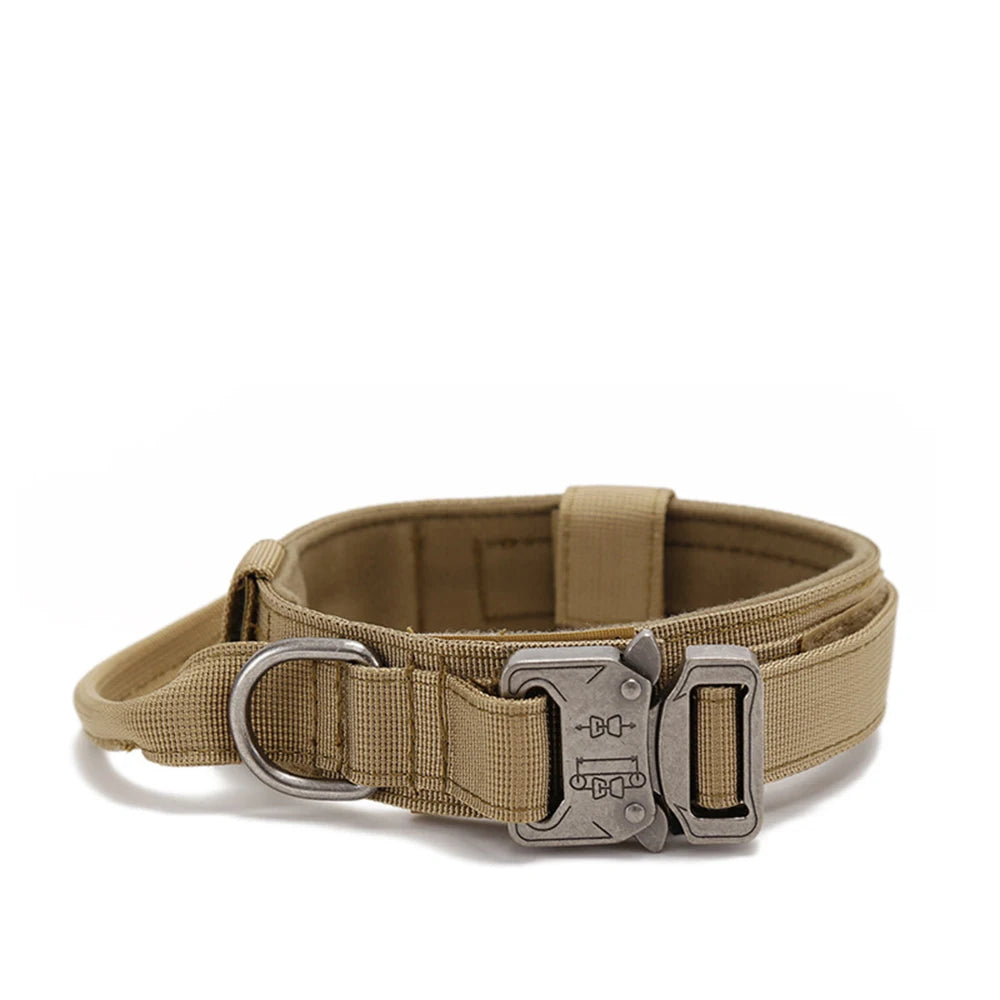 Pet Dog Collar Leash Set