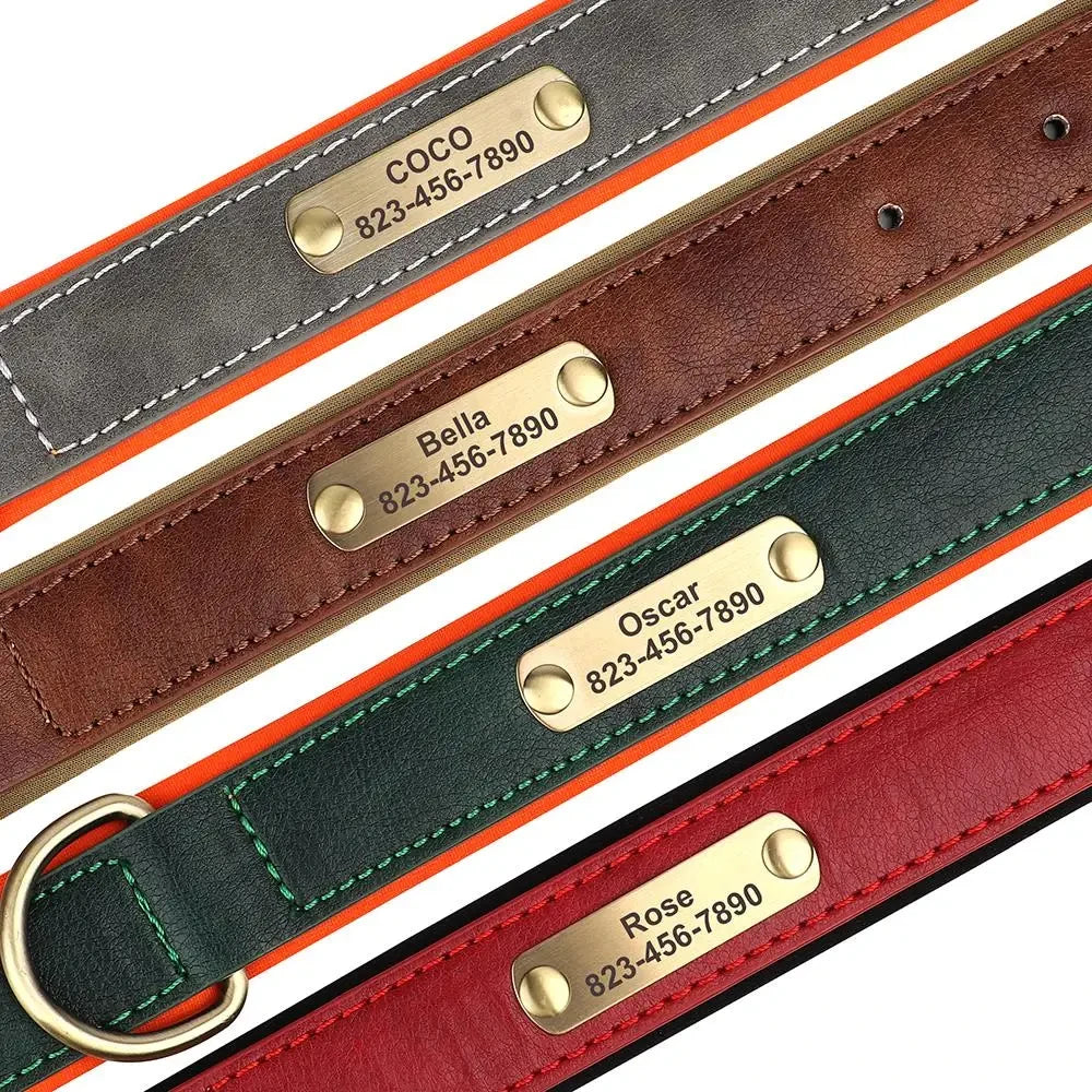 Leather ID  Dog Collar