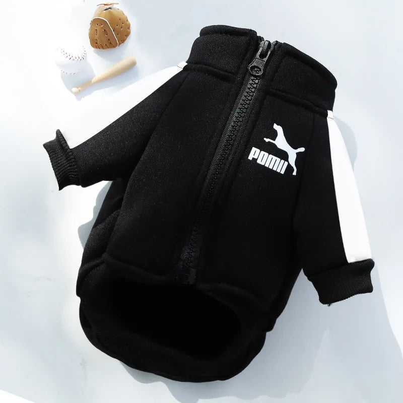 Dog  Winter Clothes