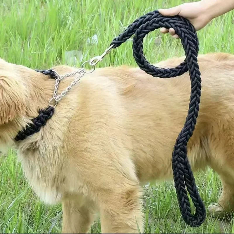 Large Dog Leash